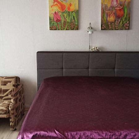 Mama Apartment Kaunas Bagian luar foto