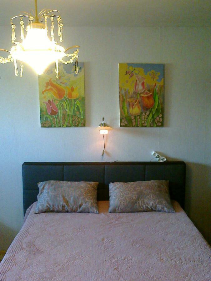 Mama Apartment Kaunas Bagian luar foto